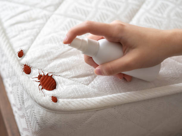 Best Bed Bug Extermination  in Ixonia, WI